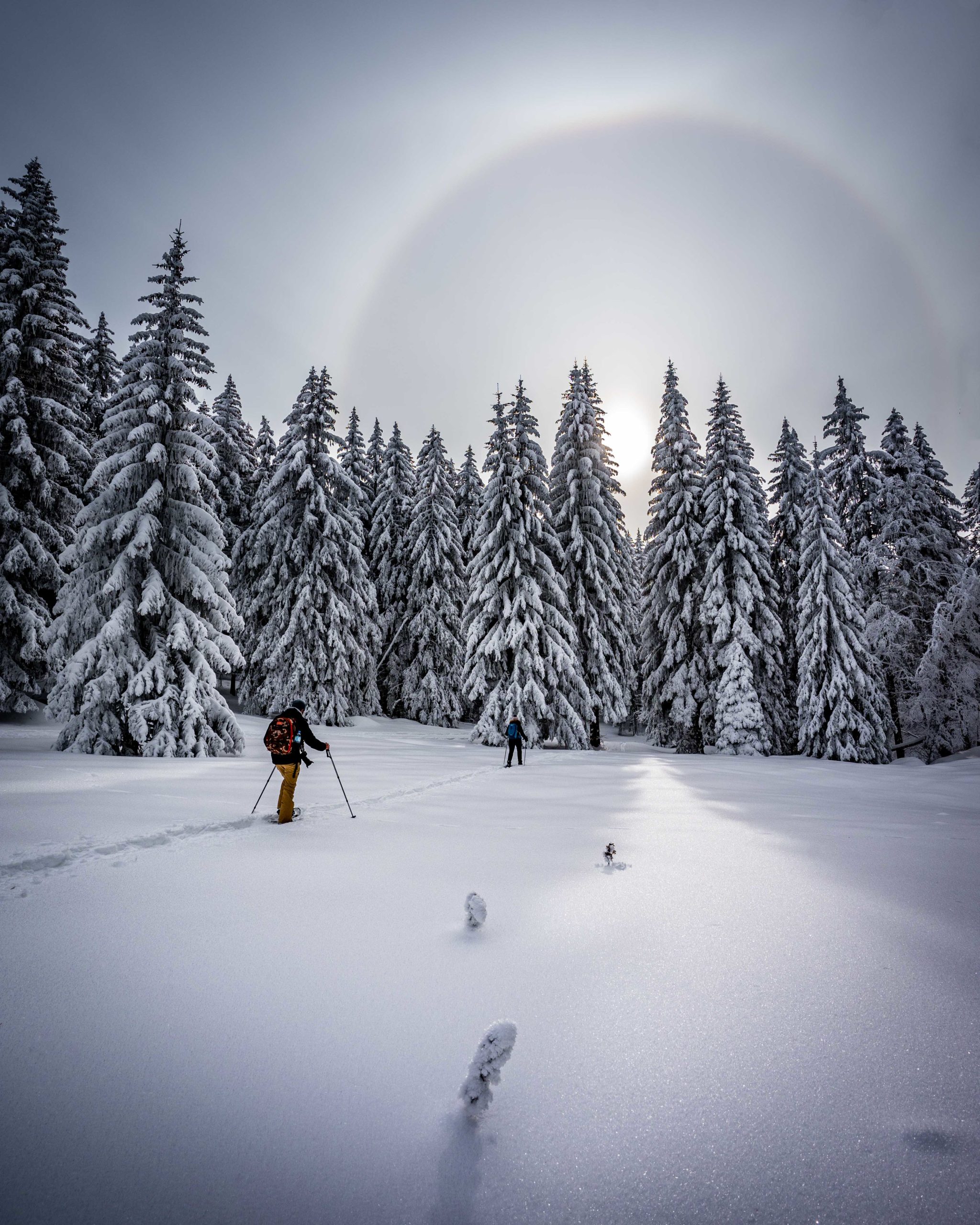 Trouver le bon sac à dos pour faire des raquettes à neige