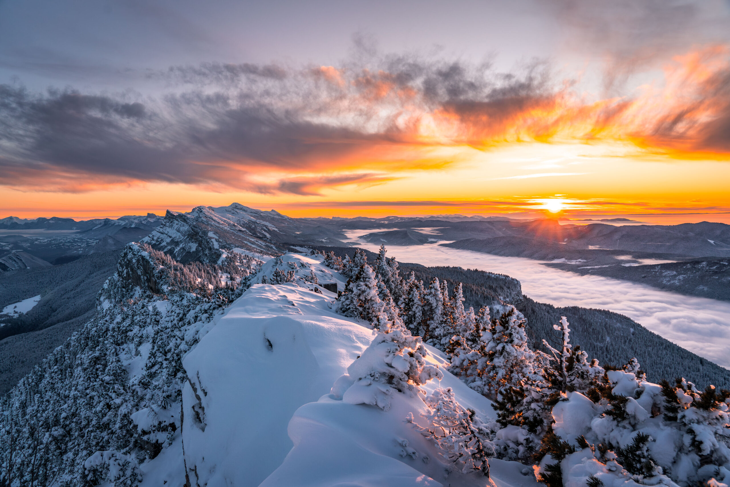 DSC01666-Avec accentuation-Bruit