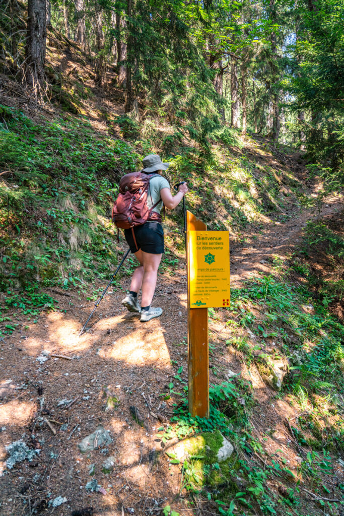 Balade dans la reserve naturelle des Hauts Villaroger